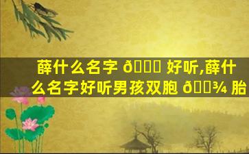薛什么名字 🐅 好听,薛什么名字好听男孩双胞 🌾 胎